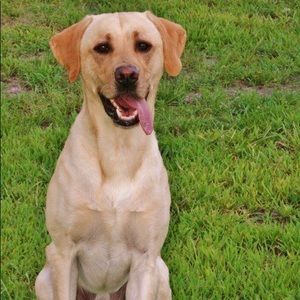 Meet your Posher, Cindy